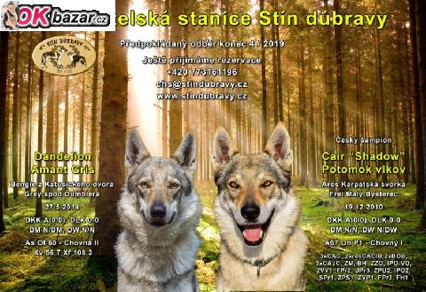 Rezervace stenat ceskoslovenskeho vlcaka